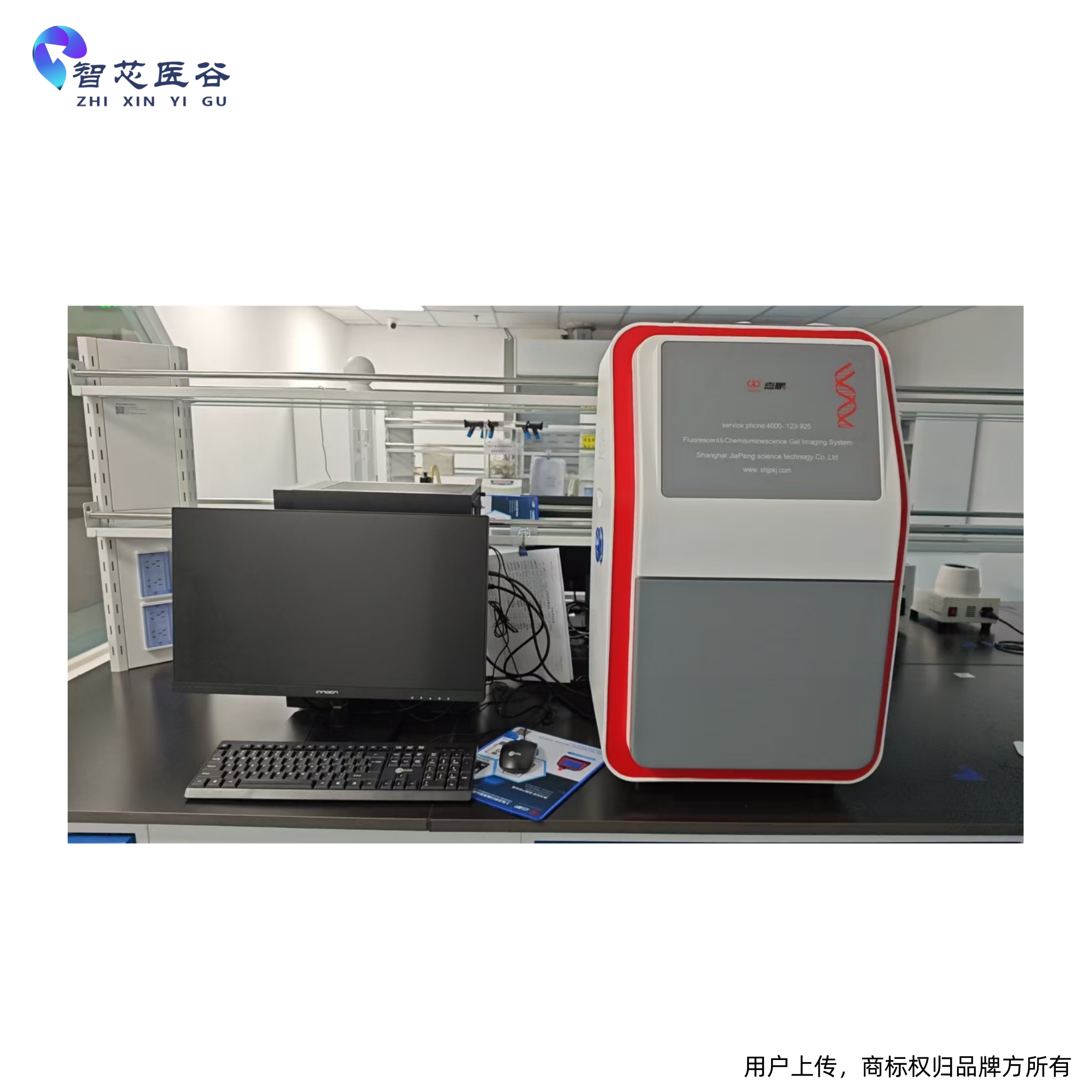 化学发光成像系统