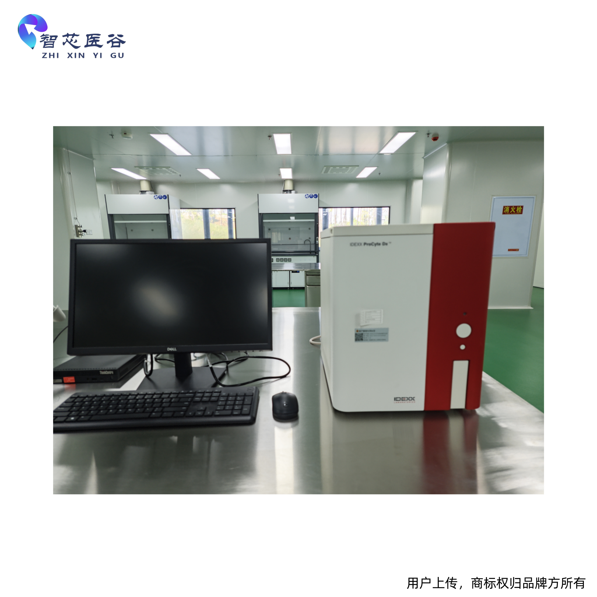 动物血细胞分析仪