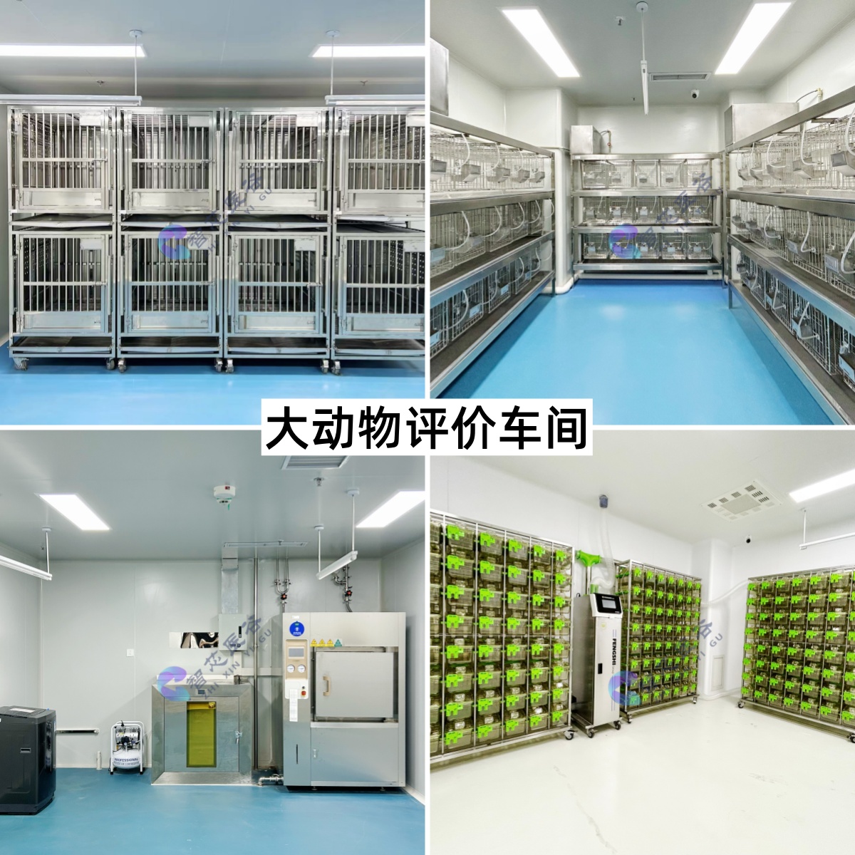 大动物评价车间.jpg